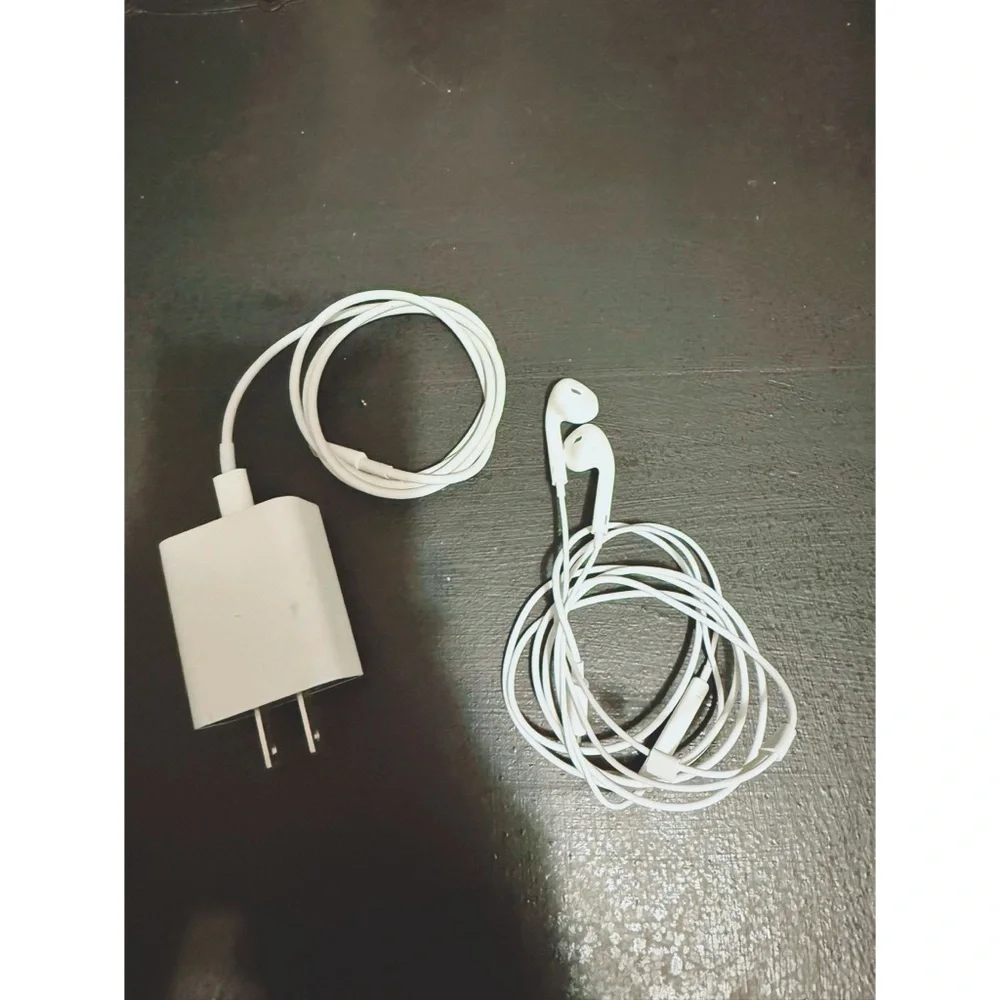 Apple Lightning Connector Charger and Earbuds Bundle
